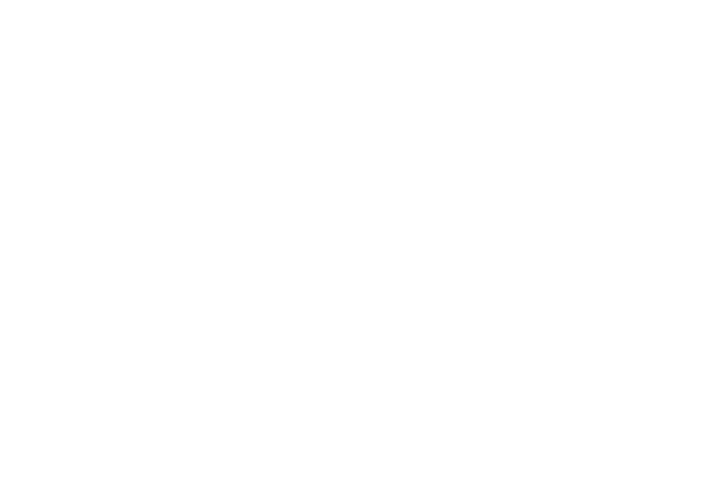 Nema X Design