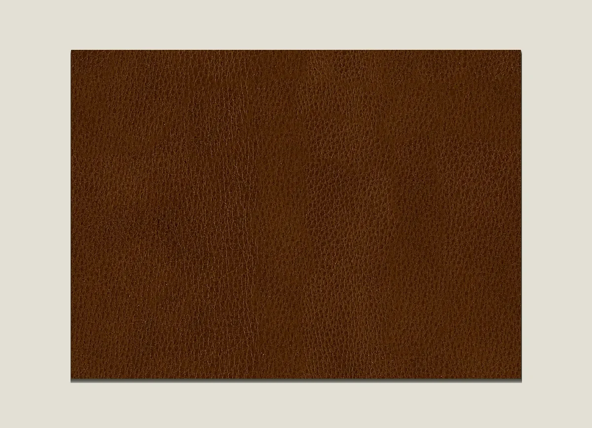 Leather material sample